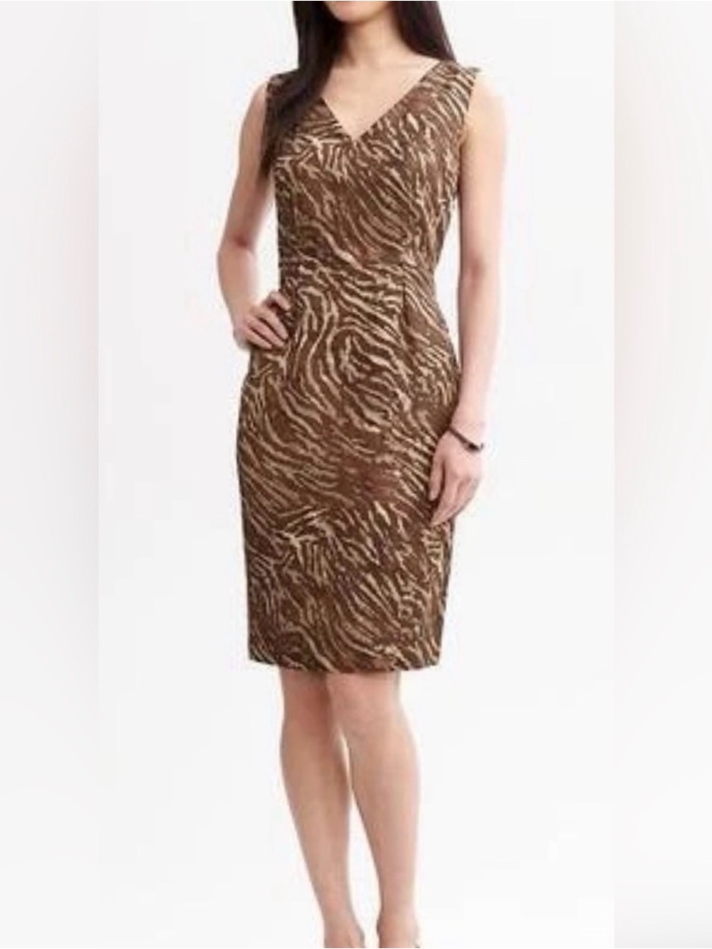 NWOT Banana Republic Brown Zebra V Neck Dress